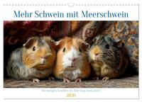 Mehr Schwein mit Meerschwein (Wandkalender 2026 DIN A3 quer), CALVENDO Monatskalender