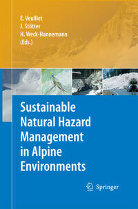Vorderes Coverbild Sustainable Natural Hazard Management in Alpine Environments