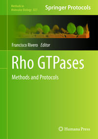 Rho GTPases