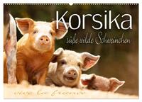 Korsika - süße, wilde Schweinchen (Wandkalender 2026 DIN A2 quer), CALVENDO Monatskalender