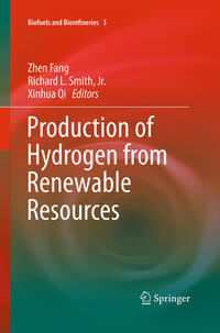 Vorderes Coverbild Production of Hydrogen from Renewable Resources