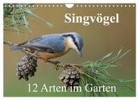 Singvögel - 12 Arten im Garten (Wandkalender 2025 DIN A4 quer), CALVENDO Monatskalender