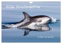 Wilde Streifendelfine im Golf von Korinth (Wandkalender 2025 DIN A4 quer), CALVENDO Monatskalender