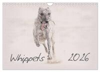 Whippet 2026 (Wandkalender 2026 DIN A4 quer), CALVENDO Monatskalender