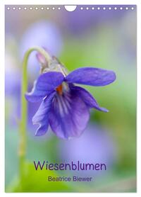 Wiesenblumen (Wandkalender 2026 DIN A4 hoch), CALVENDO Monatskalender