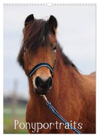 Wandkalender Ponyportraits (Wandkalender 2025 DIN A3 hoch), CALVENDO Monatskalender