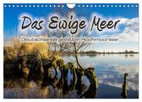 Das Ewige Meer (Wandkalender 2025 DIN A4 quer), CALVENDO Monatskalender