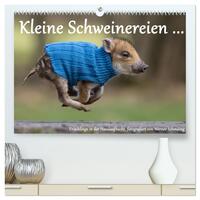 Kleine Schweinereien (hochwertiger Premium Wandkalender 2025 DIN A2 quer), Kunstdruck in Hochglanz