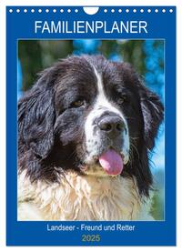 Familienplaner Landseer - Freund und Retter (Wandkalender 2025 DIN A4 hoch), CALVENDO Monatskalender
