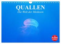 Quallen. Die Welt der Medusen (Wandkalender 2025 DIN A4 quer), CALVENDO Monatskalender