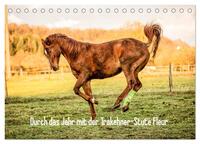 Durch das Jahr mit der Trakehner-Stute Fleur (Tischkalender 2025 DIN A5 quer), CALVENDO Monatskalender