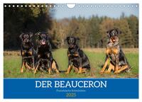 Der Beauceron (Wandkalender 2025 DIN A4 quer), CALVENDO Monatskalender