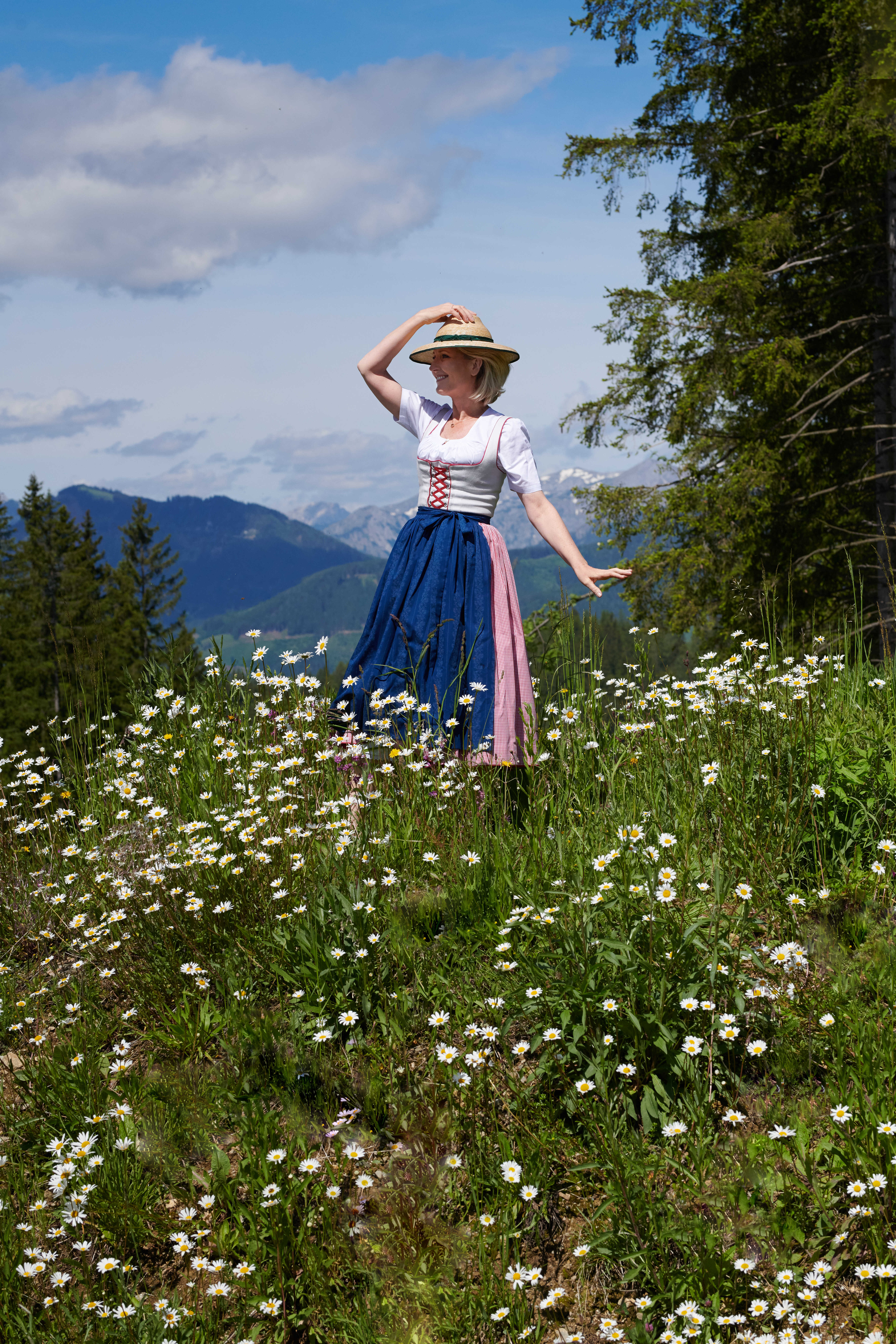 Bild des Mitwirkenden The Taste of Austria
