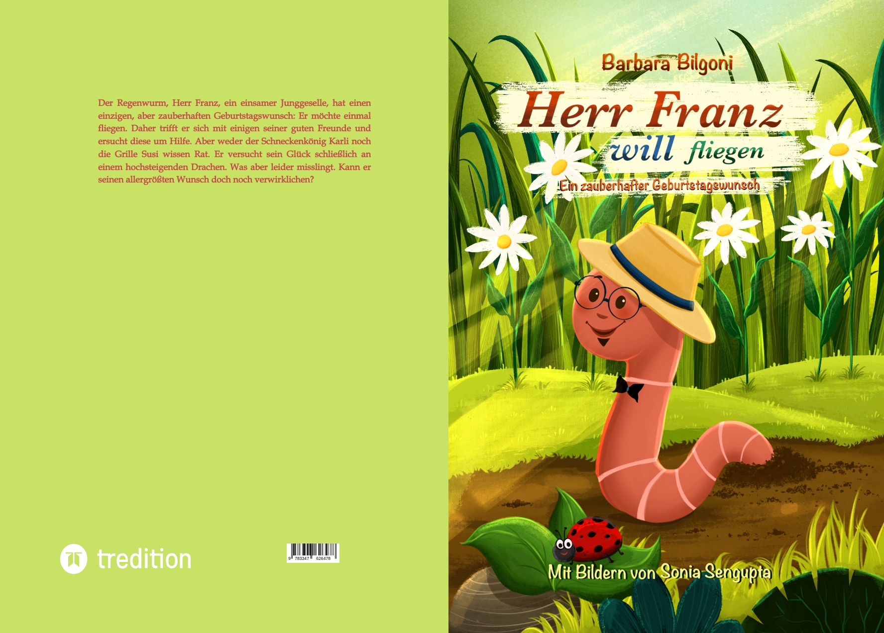Gesamtes Coverbild Herr Franz will fliegen