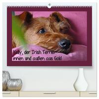 Kelly, der Irish Terrier - innen und außen aus Gold (hochwertiger Premium Wandkalender 2026 DIN A2 quer), Kunstdruck in Hochglanz