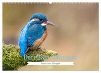 Der blaue Diamant - Fotos vom Eisvogel (Wandkalender 2025 DIN A2 quer), CALVENDO Monatskalender