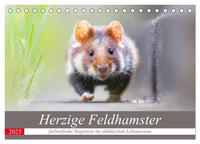 Herzige Feldhamster - farbenfrohe Nagetiere im städtischen Lebensraum (Tischkalender 2025 DIN A5 quer), CALVENDO Monatskalender