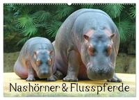 Nashörner & Flusspferde (Wandkalender 2025 DIN A2 quer), CALVENDO Monatskalender