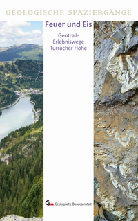 Vorderes Coverbild Feuer und Eis