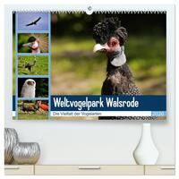 Weltvogelpark Walsrode - Die Vielfalt der Vogelarten (hochwertiger Premium Wandkalender 2026 DIN A2 quer), Kunstdruck in Hochglanz