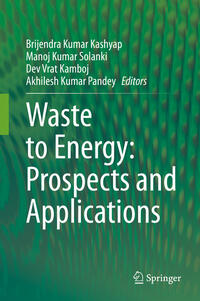 Vorderes Coverbild Waste to Energy: Prospects and Applications