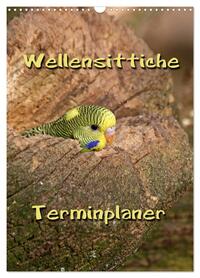 Wellensittiche Terminplaner (Wandkalender 2026 DIN A3 hoch), CALVENDO Monatskalender