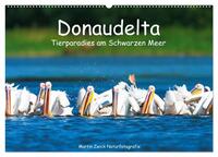 Donaudelta - Tierparadies am Schwarzen Meer (Wandkalender 2026 DIN A2 quer), CALVENDO Monatskalender