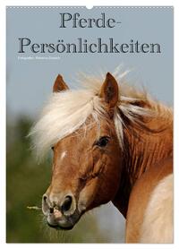 Pferde-Persönlichkeiten - ausdrucksstarke Gesichter verschiedener Pferderassen (Wandkalender 2026 DIN A2 hoch), CALVENDO Monatskalender