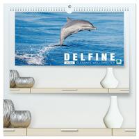 Delfine: Elegante Wellenreiter (hochwertiger Premium Wandkalender 2026 DIN A2 quer), Kunstdruck in Hochglanz