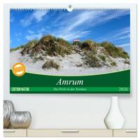 Amrum, die Perle in der Nordsee (hochwertiger Premium Wandkalender 2026 DIN A2 quer), Kunstdruck in Hochglanz