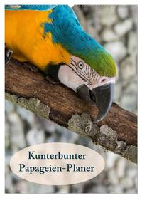 Kunterbunter Papageien-Planer (Wandkalender 2026 DIN A2 hoch), CALVENDO Monatskalender