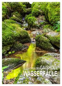 Vorderes Coverbild Sasbachwalden Gaishöll-Wasserfälle (Wandkalender 2025 DIN A3 hoch), CALVENDO Monatskalender