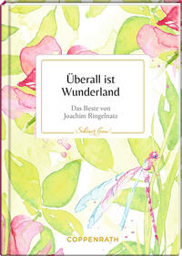 Vorderes Coverbild Überall ist Wunderland