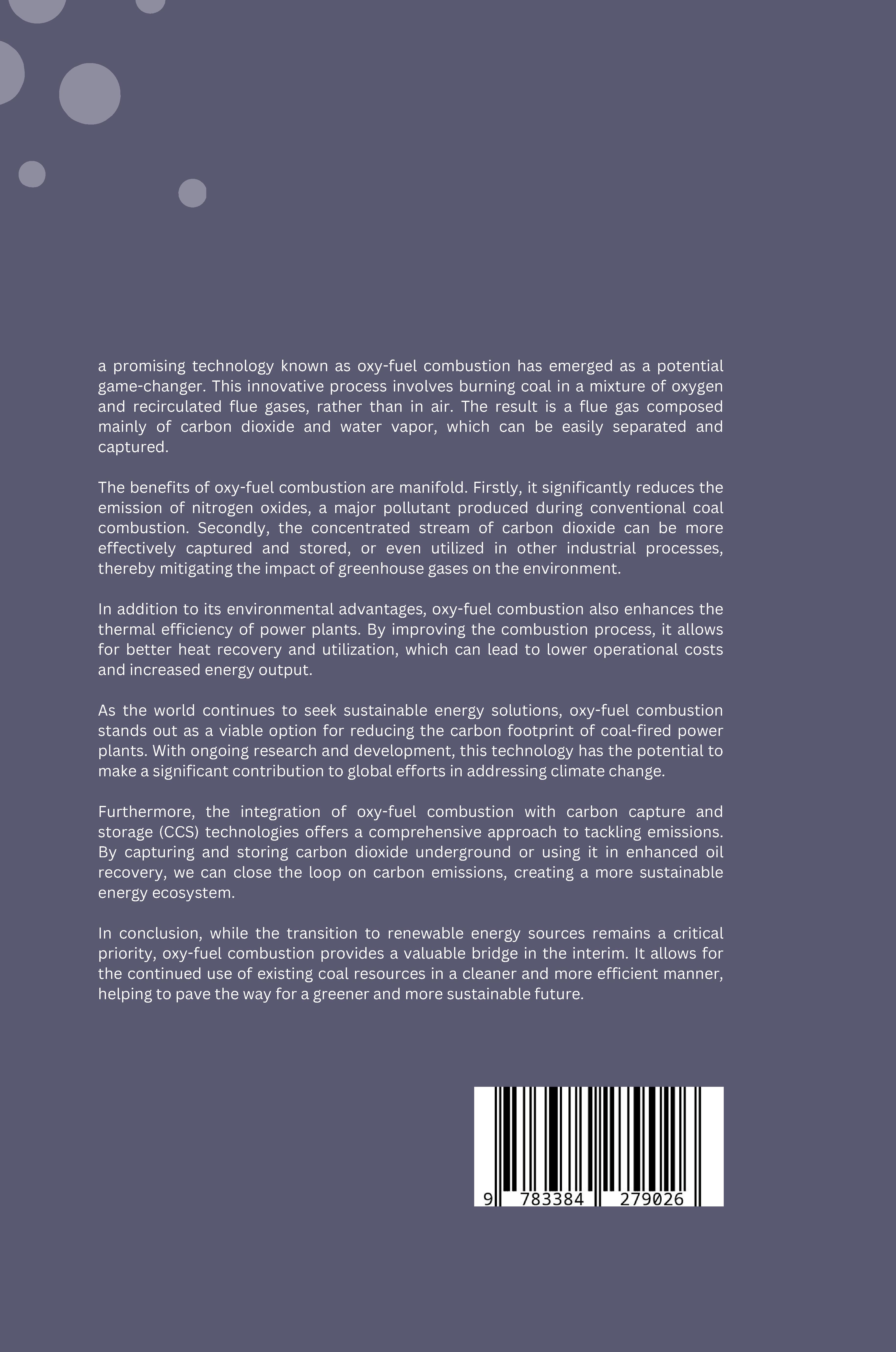 Rückseitencover The Fight Against Climate Change: Exploring Carbon Capture Solutions