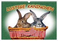 Lustige Kaninchen (Wandkalender 2025 DIN A3 quer), CALVENDO Monatskalender