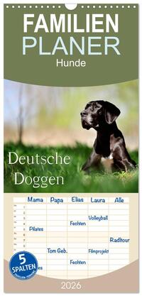 Familienplaner 2026 - Deutsche Doggen / Geburtstagskalender mit 5 Spalten (Wandkalender, 21 x 45 cm) CALVENDO