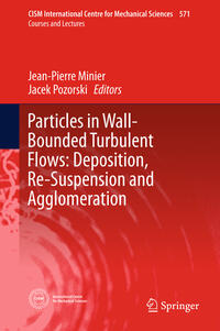 Particles in Wall-Bounded Turbulent Flows: Deposition, Re-Suspension and Agglomeration