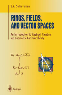 Rings, Fields, and Vector Spaces