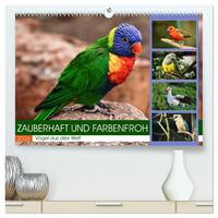 Zauberhaft und farbenfroh (hochwertiger Premium Wandkalender 2026 DIN A2 quer), Kunstdruck in Hochglanz