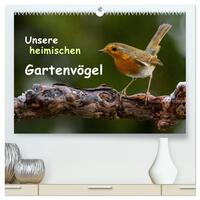 Vorderes Coverbild Unsere heimischen Gartenvögel (hochwertiger Premium Wandkalender 2025 DIN A2 quer), Kunstdruck in Hochglanz