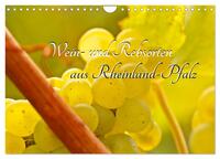 Wein- und Rebsorten aus Rheinland-Pfalz (Wandkalender 2025 DIN A4 quer), CALVENDO Monatskalender