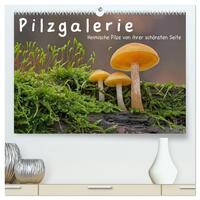 Pilzgalerie - Heimische Pilze von ihrer schönsten Seite (hochwertiger Premium Wandkalender 2025 DIN A2 quer), Kunstdruck in Hochglanz