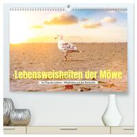 Lebensweisheiten der Möwe - Im Flug des Lebens (hochwertiger Premium Wandkalender 2025 DIN A2 quer), Kunstdruck in Hochglanz