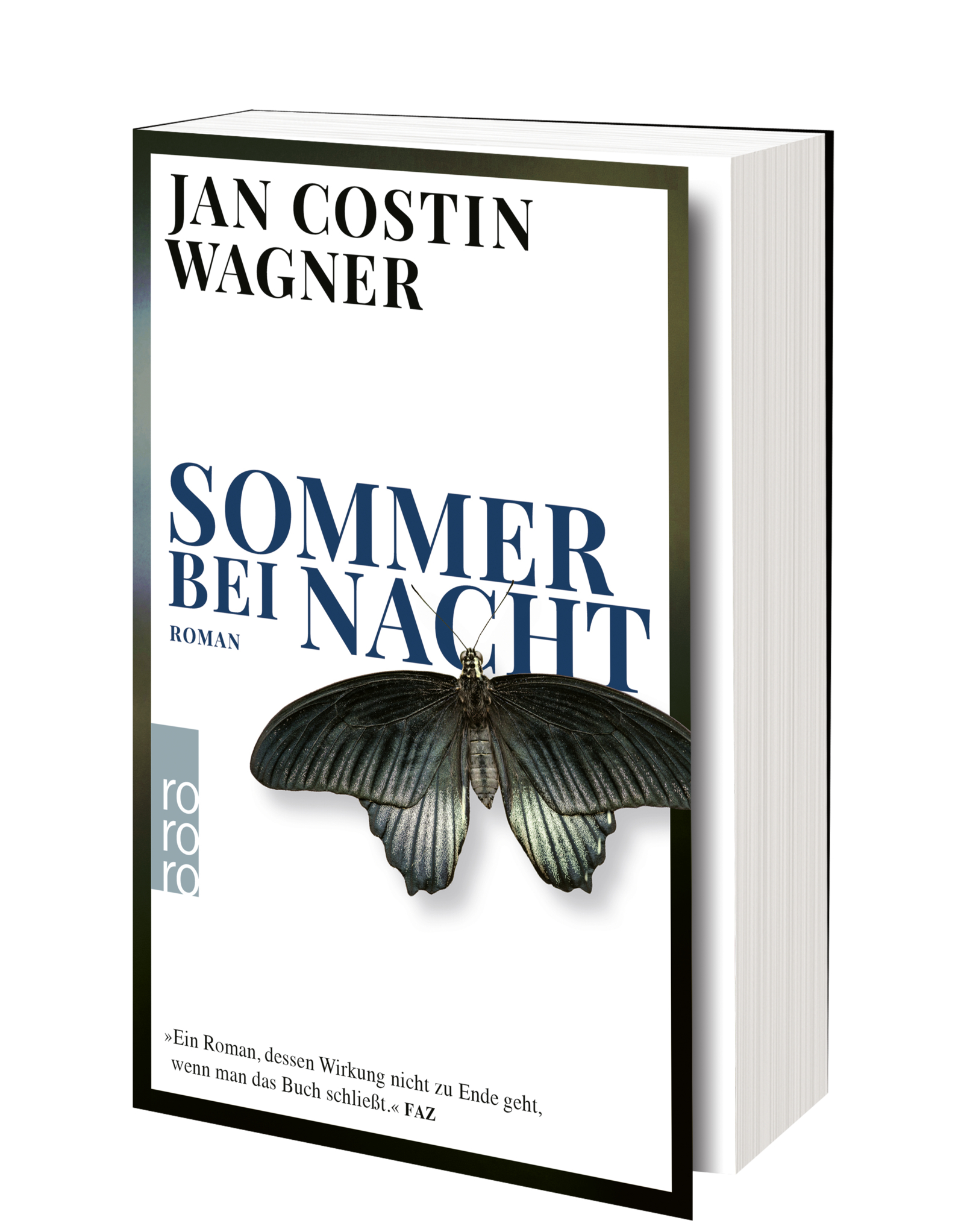 Sommer bei Nacht