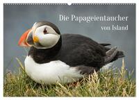 Die Papageientaucher von Island (Wandkalender 2025 DIN A2 quer), CALVENDO Monatskalender