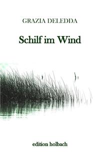 Schilf im Wind