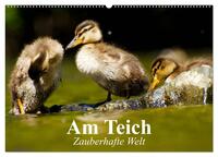 Am Teich. Zauberhafte Welt (Wandkalender 2025 DIN A2 quer), CALVENDO Monatskalender