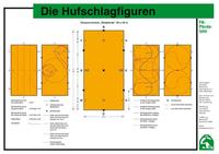Die Hufschlagfiguren