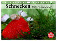 Schnecken. Witzige Schleimer (Wandkalender 2025 DIN A4 quer), CALVENDO Monatskalender