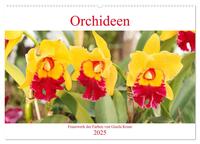 Orchideen Feuerwerk der Farben (Wandkalender 2025 DIN A2 quer), CALVENDO Monatskalender